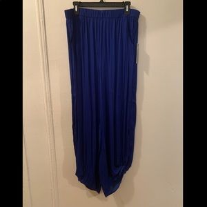Royal blue Jennifer Lopez genie pants!